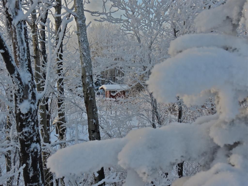 Dec. 2012